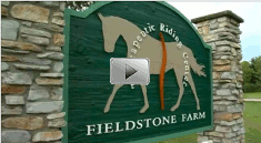 Fieldstone Farm - Our Horses are Changing Lives