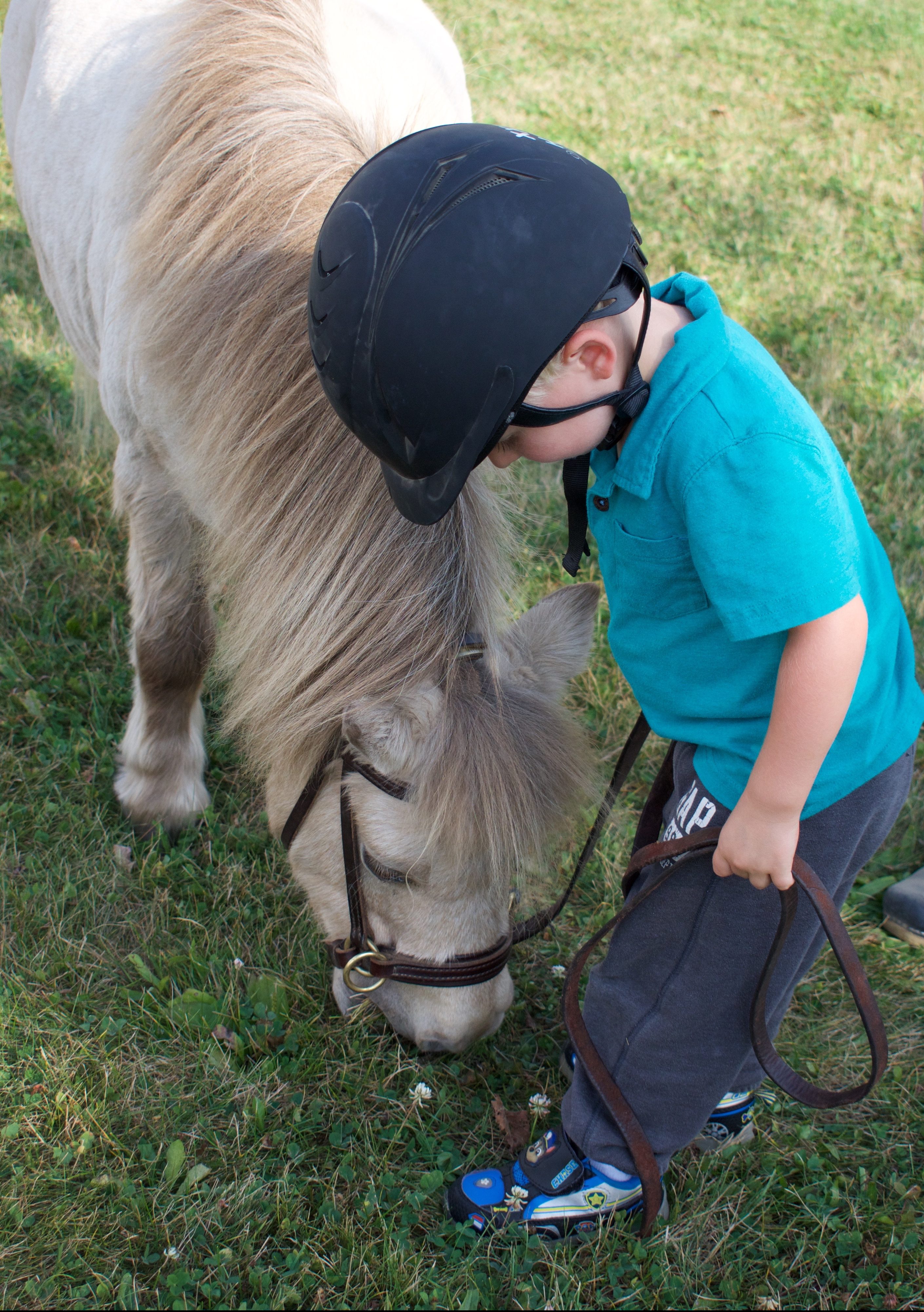 Young student standing next to a horse that's eating grass