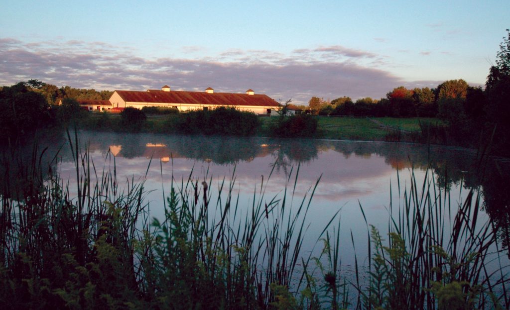 Farm at sunrise