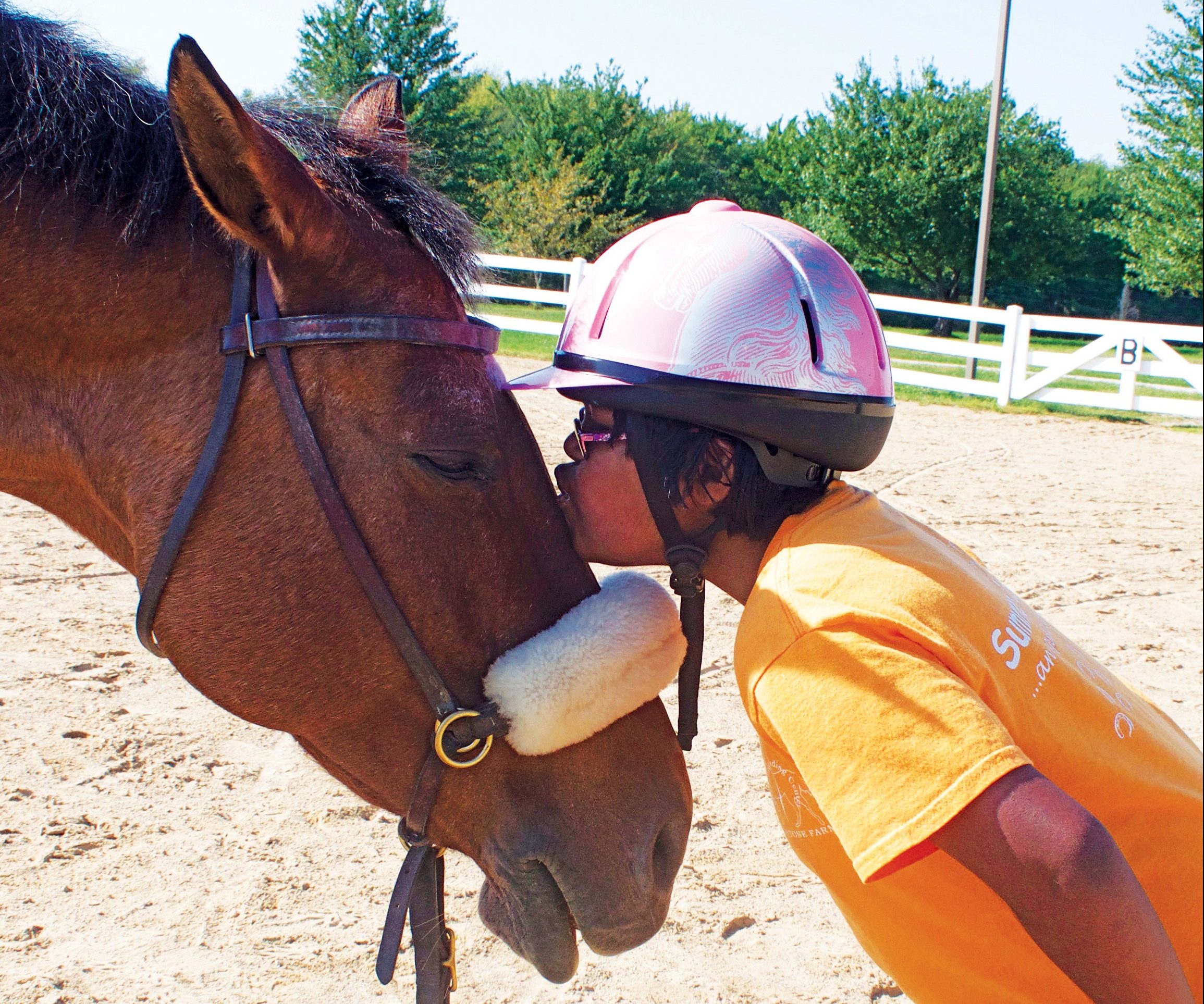Jeeval kissing a horse