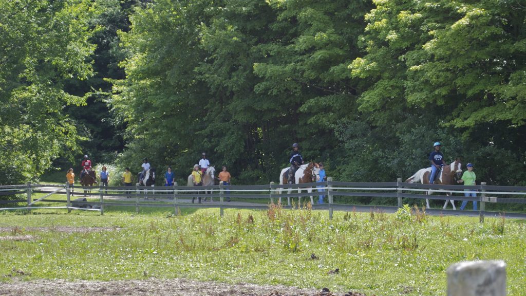 Trail ride