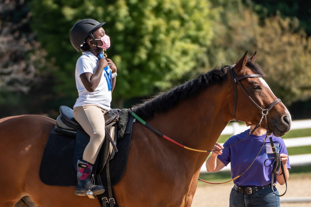 Horse show by Michael Steinberg