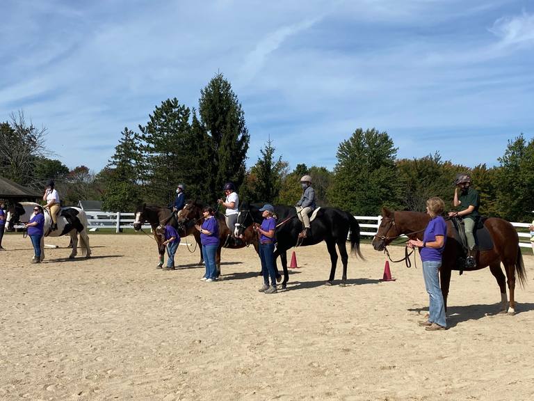 horses and riders lined up at show