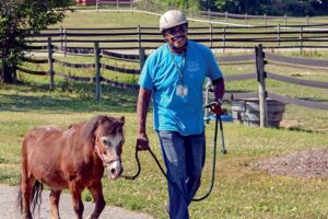 Ernest leading a horse