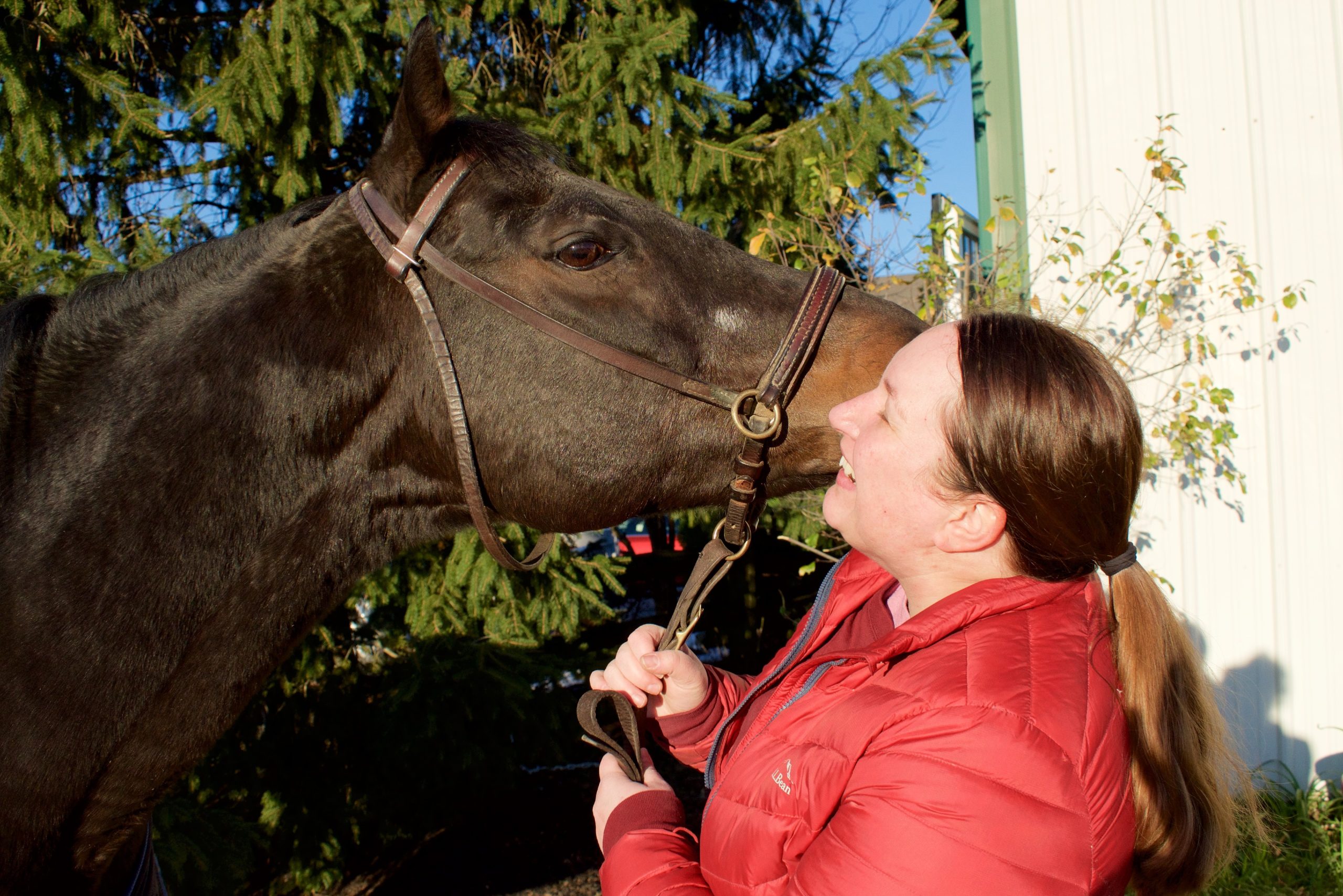 Getting More Out Of Your Hobbies As An Adult - Budget Equestrian