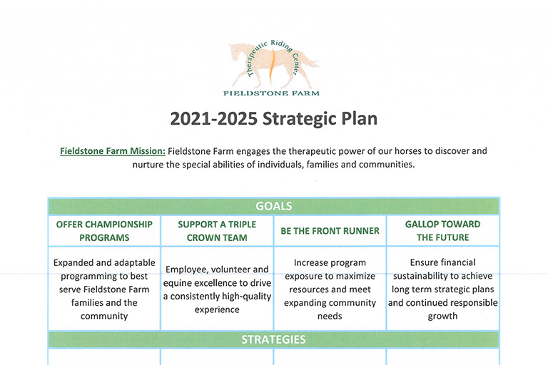 2021-2025 Strategic Plan document