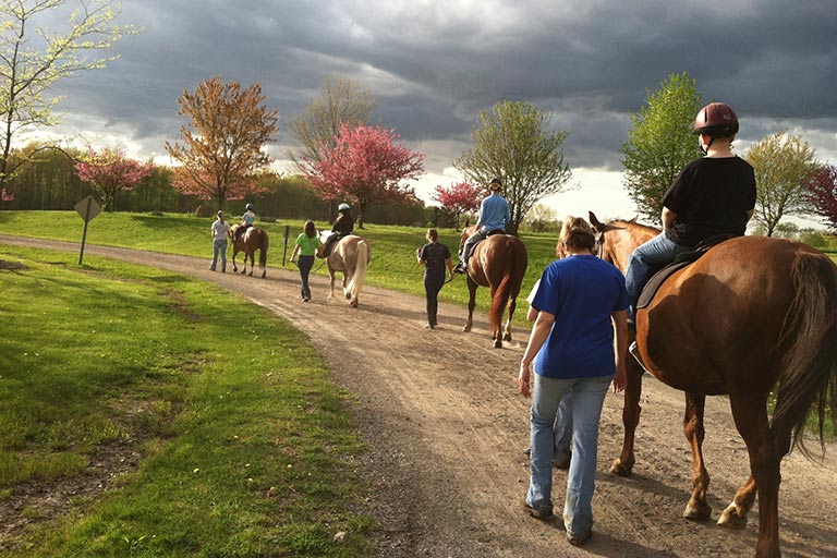 Driveway Walk with Dark Skies