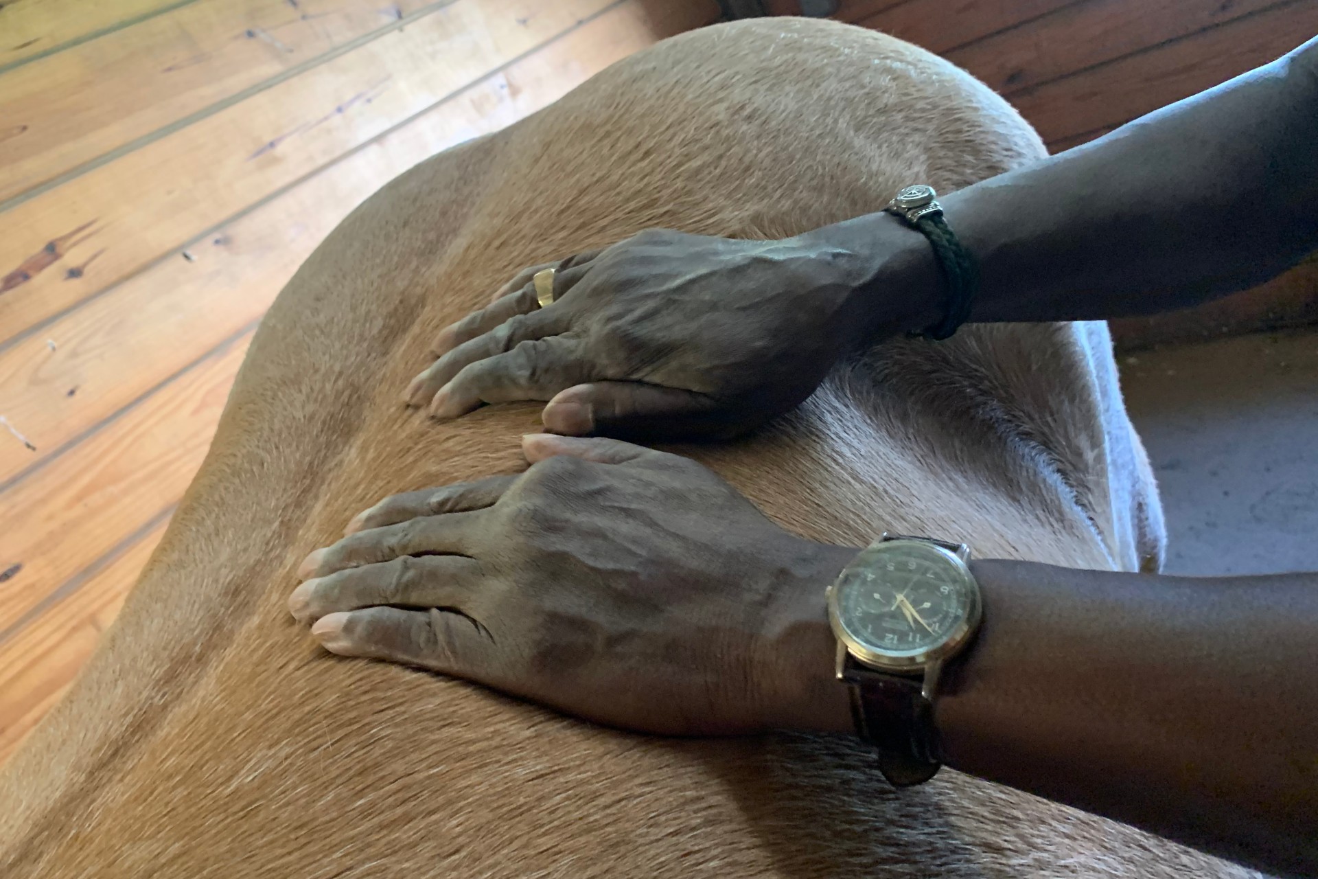 Hands Hands