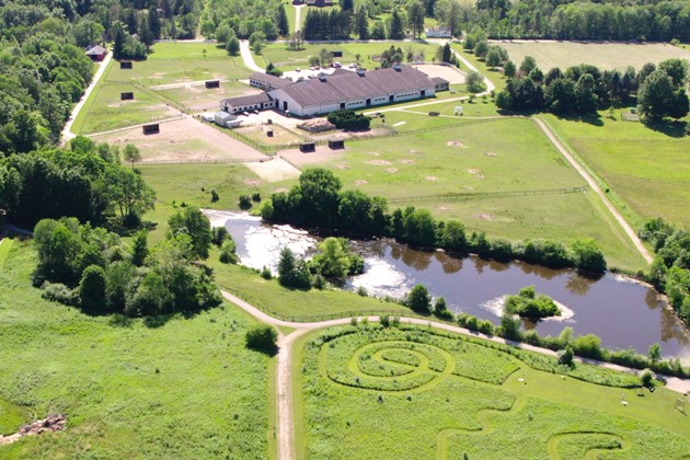 aerial sized from back